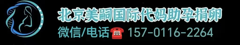 试管婴儿女同性恋